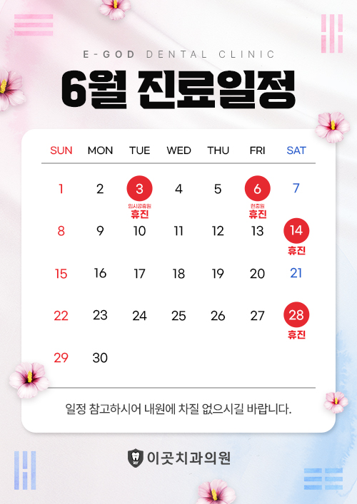 6월 진료일정