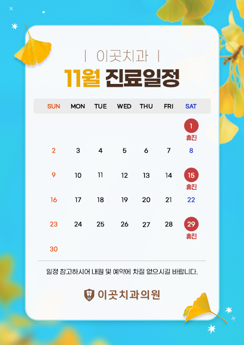 11월 진료일정